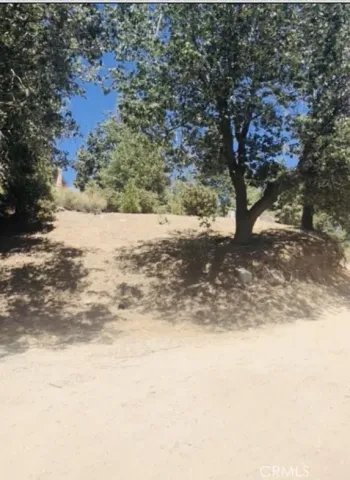 a view of a yard with large trees