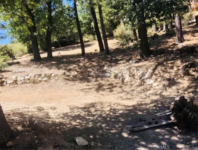 a view of a yard with a tree