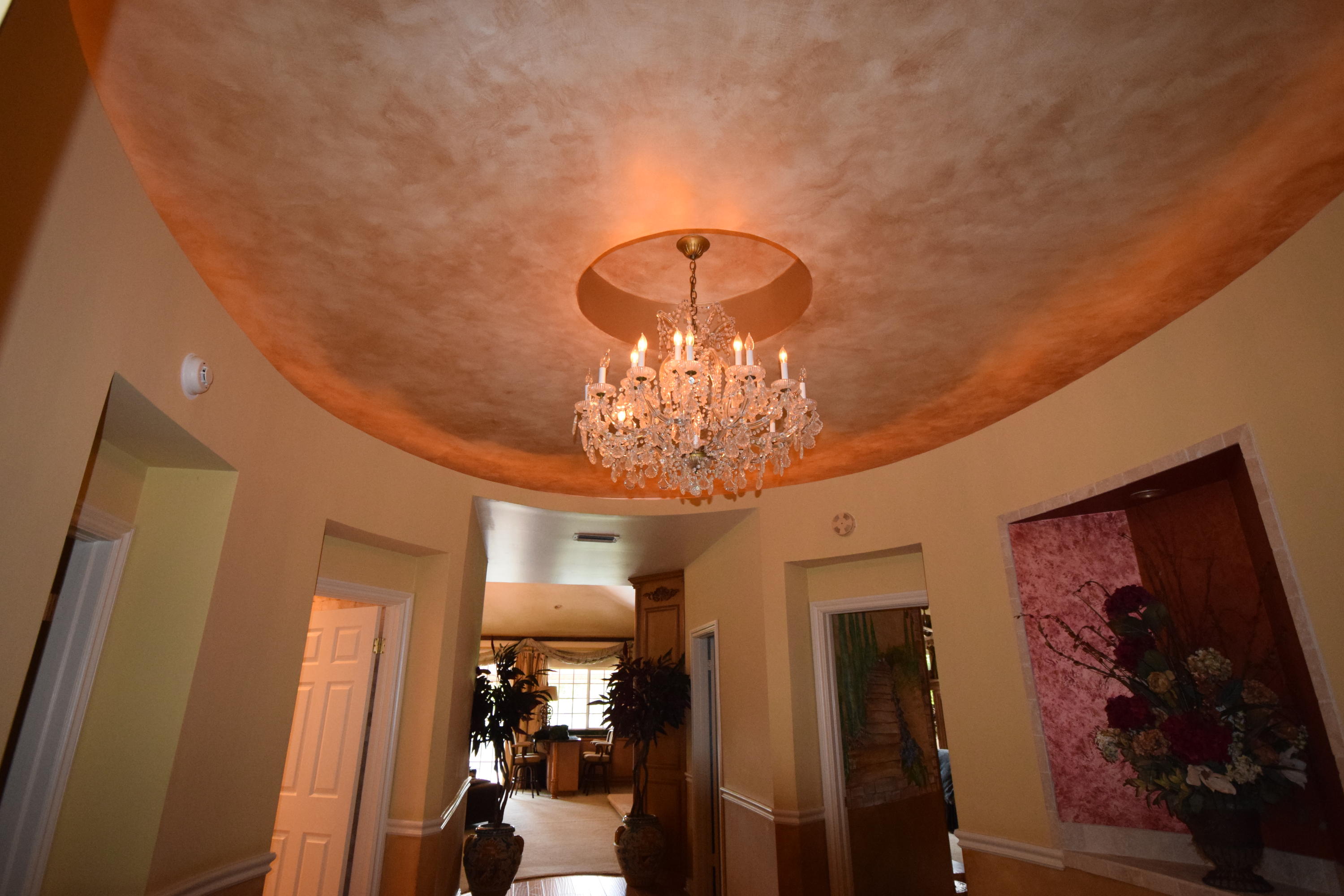 21287 Harrow Court Boca Raton, FL 33433 - Photo 9 of 51 Faux Painted Ceilings