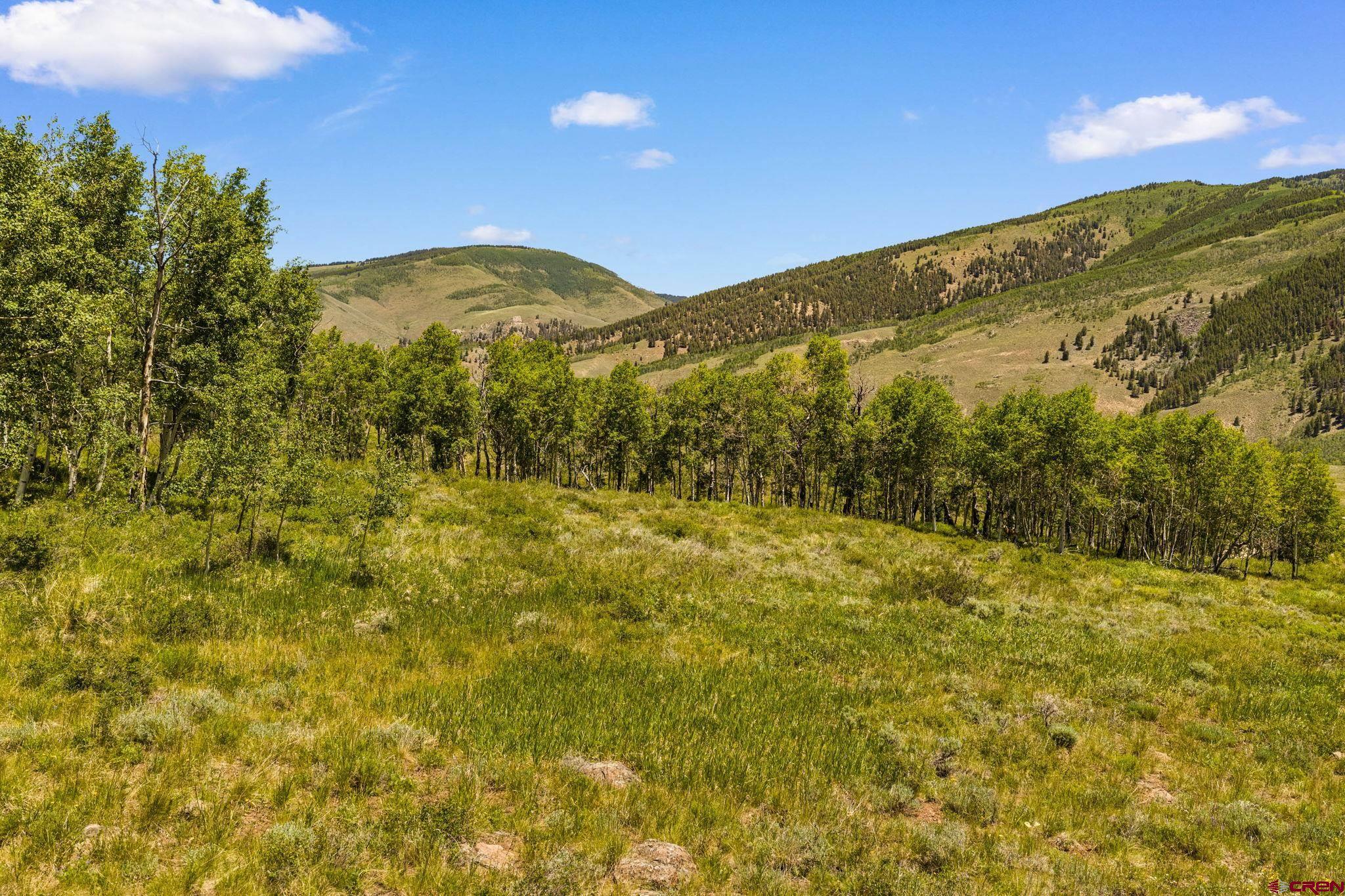 1175 Red Mountain Ranch Road Crested Butte, CO 81224 - Photo 18 of 24