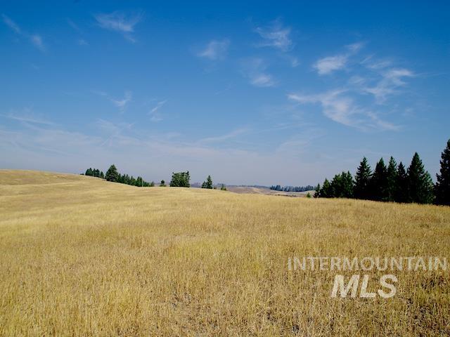 Tbd Tbd Ditch Creek Road Council, ID 83612 - Photo 11 of 11