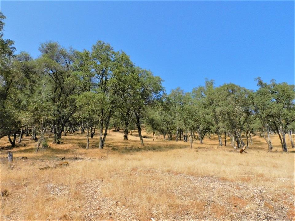 112 Union Mine Road El Dorado, CA 95623 - Photo 16 of 31