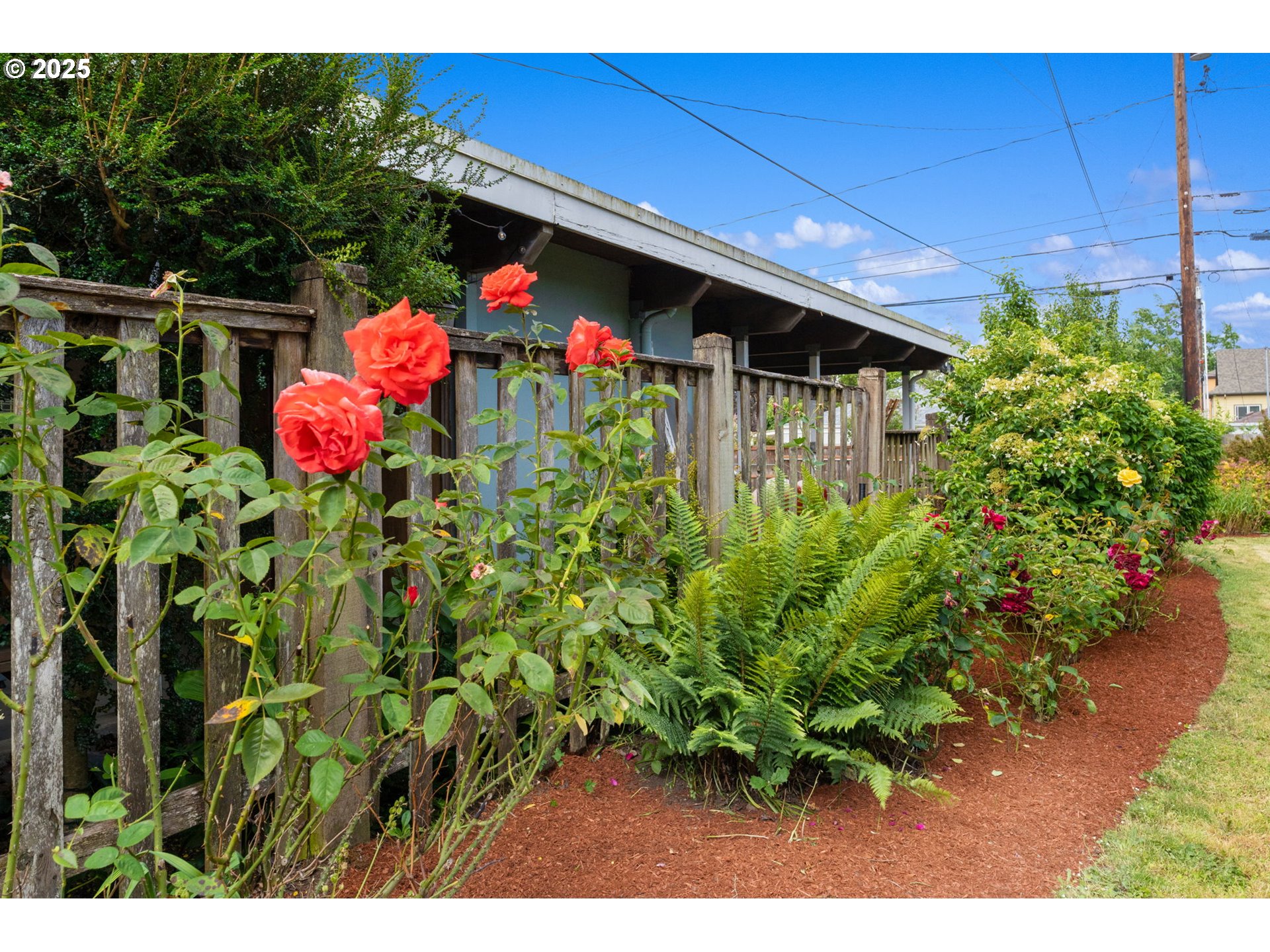 1944 Alder Street Eugene, OR 97405 - Photo 43 of 46 a close up of a flower pot