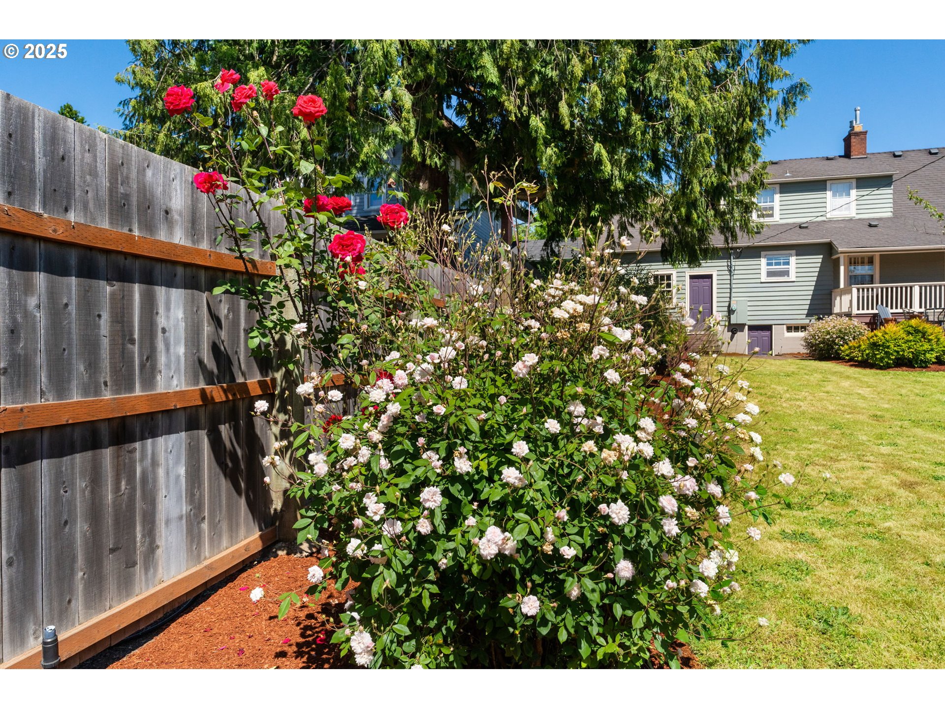 1944 Alder Street Eugene, OR 97405 - Photo 44 of 46 a view of a house with a flower garden