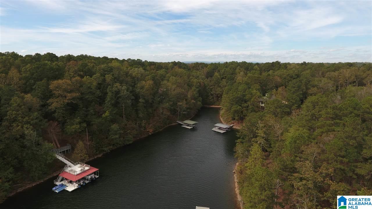 779 County Road 897 Wedowee, AL 36278 - Photo 34 of 37