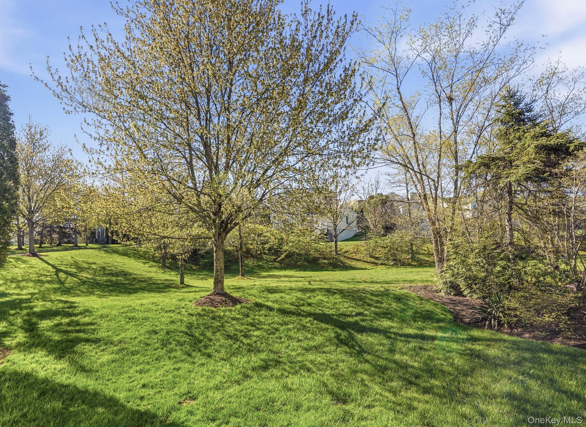 2 Legendary Circle Rye Brook, NY 10573 - Photo 22 of 32