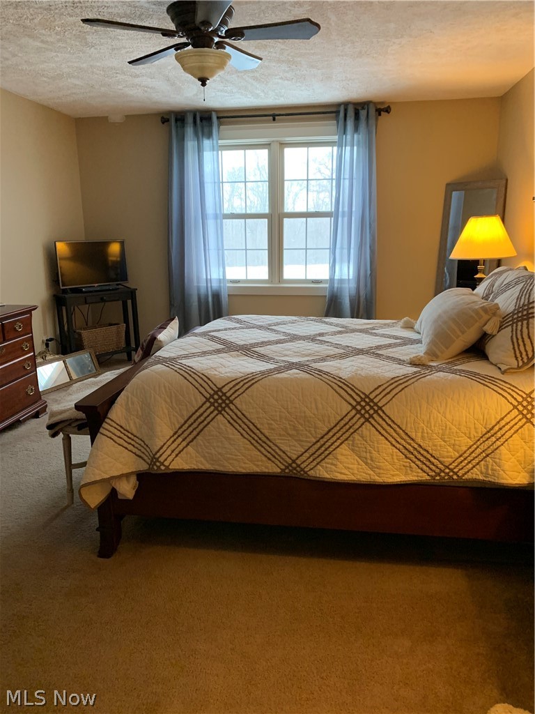 3443 North Firestone Road Wooster, OH 44691 - Photo 15 of 30