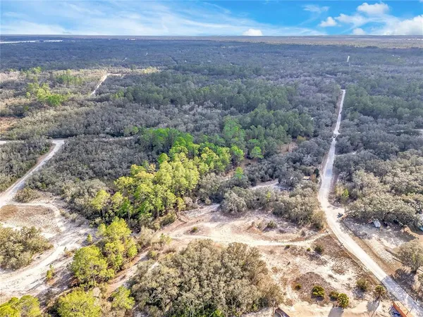 a view of a yard with a garden
