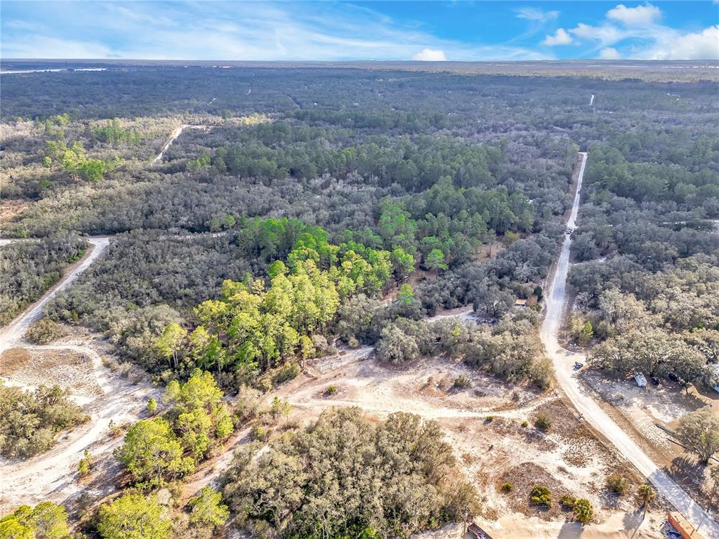 Goodstone Drive Webster, FL 33597 - Photo 12 of 20 a view of a yard with a garden