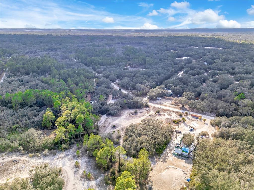 Goodstone Drive Webster, FL 33597 - Photo 13 of 20 a view of a yard with plants and large trees
