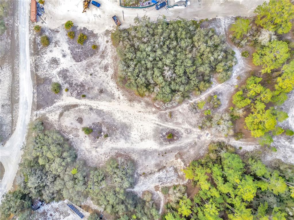 Goodstone Drive Webster, FL 33597 - Photo 2 of 20 a view of a tree