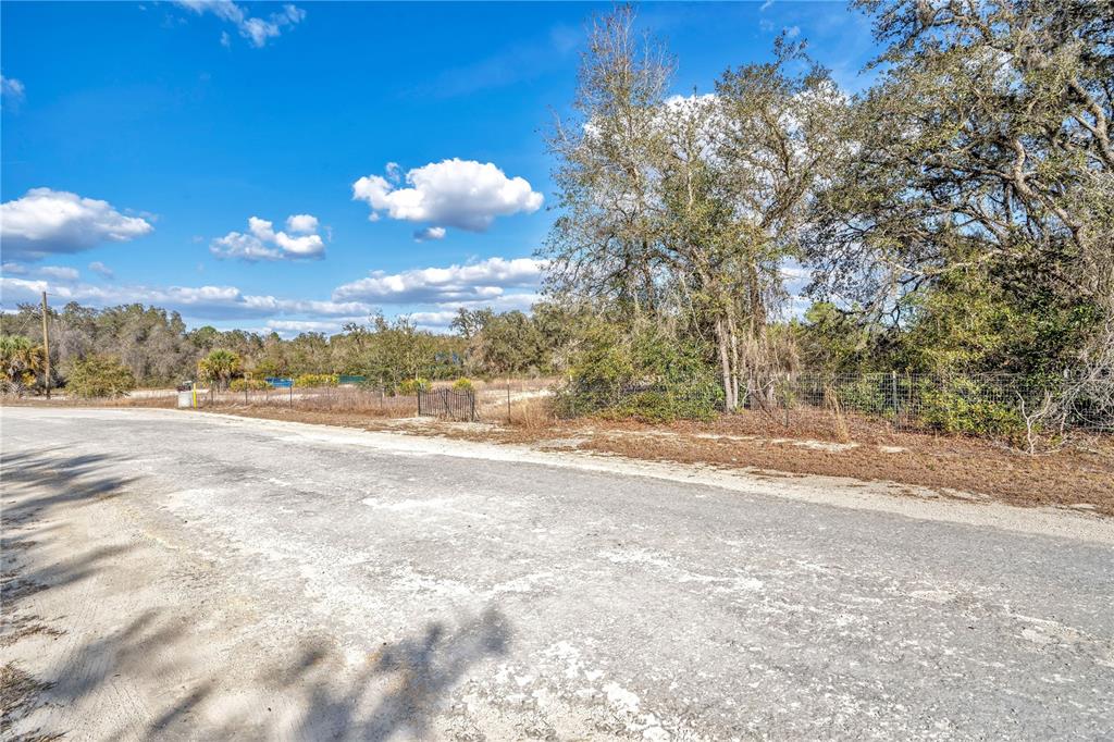 Goodstone Drive Webster, FL 33597 - Photo 3 of 20 a view of a yard