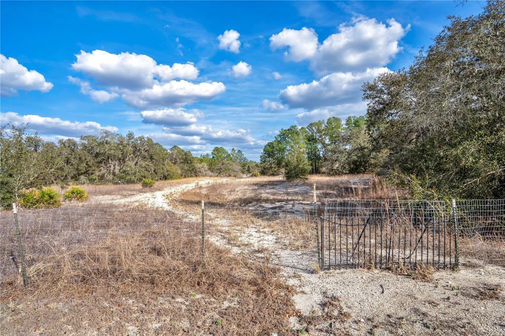 Goodstone Drive Webster, FL 33597 - Photo 4 of 20 a view of a yard with wooden fence