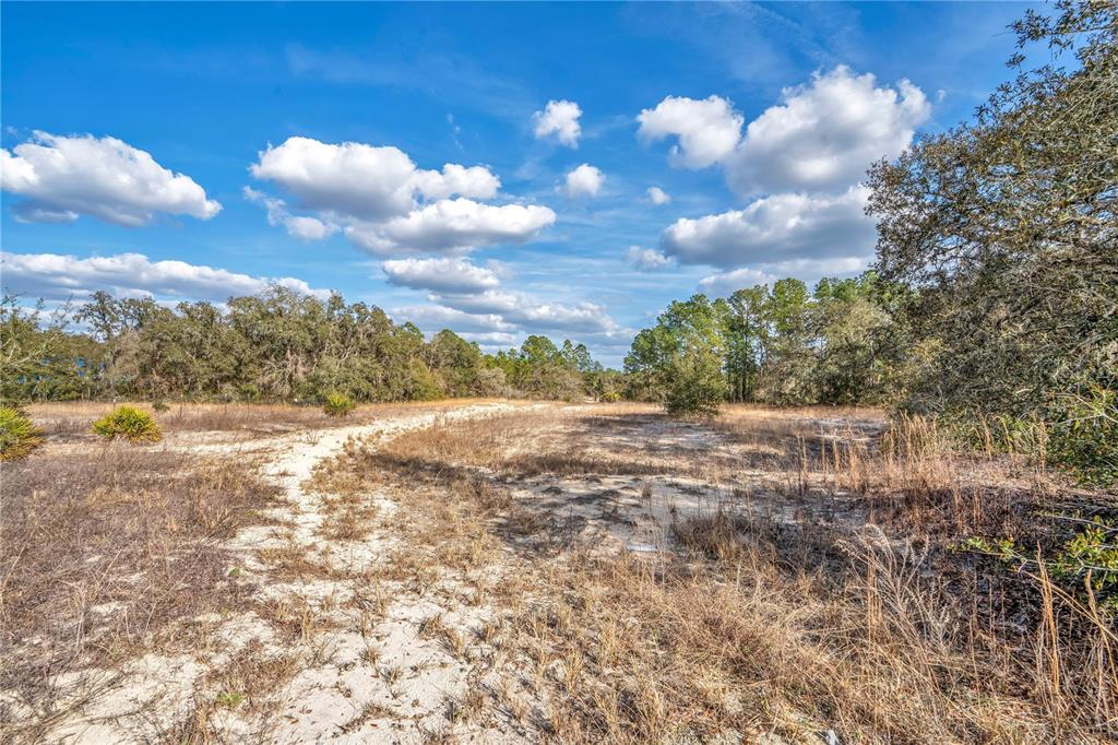 Goodstone Drive Webster, FL 33597 - Photo 6 of 20 a view of lake with green space