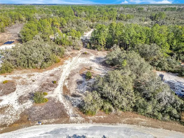 a view of a dry yard with trees