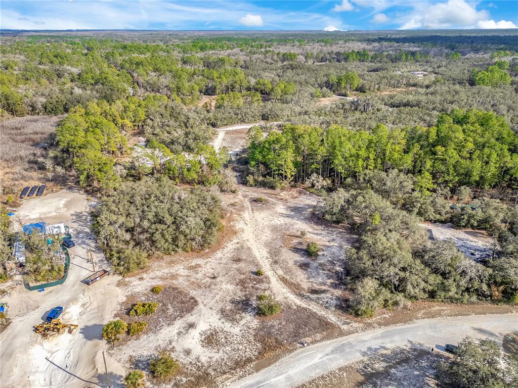 Goodstone Drive Webster, FL 33597 - Photo 9 of 20 a view of a yard with an outdoor space