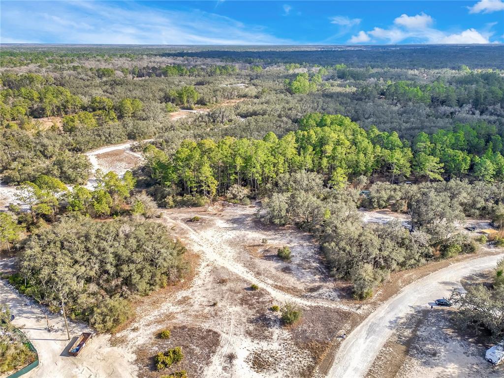 Goodstone Drive Webster, FL 33597 - Photo 10 of 20 a view of an outdoor space and mountain view in back