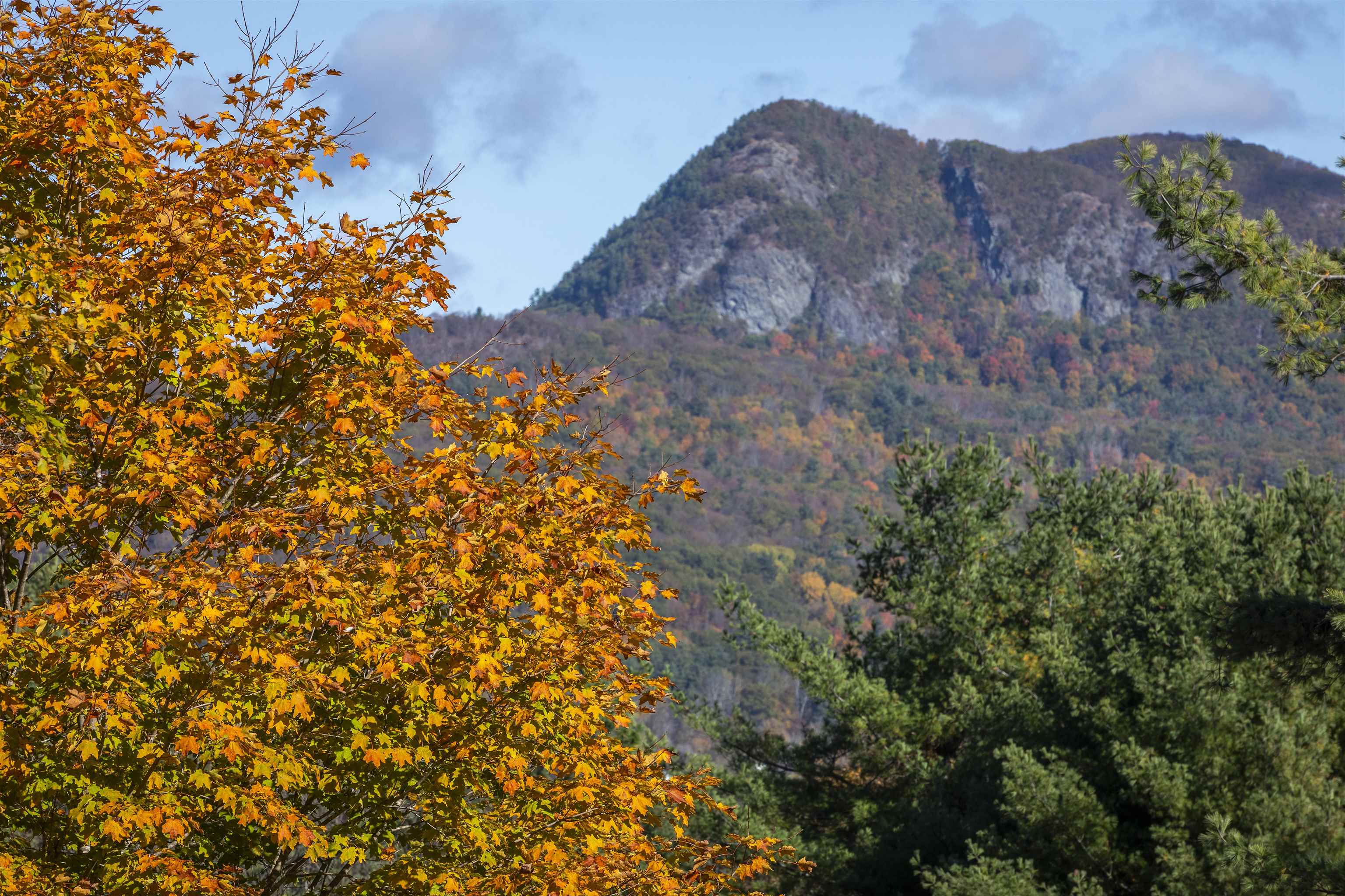 330 Rupert Hill Road Pawlet, VT 05775 - Photo 47 of 60