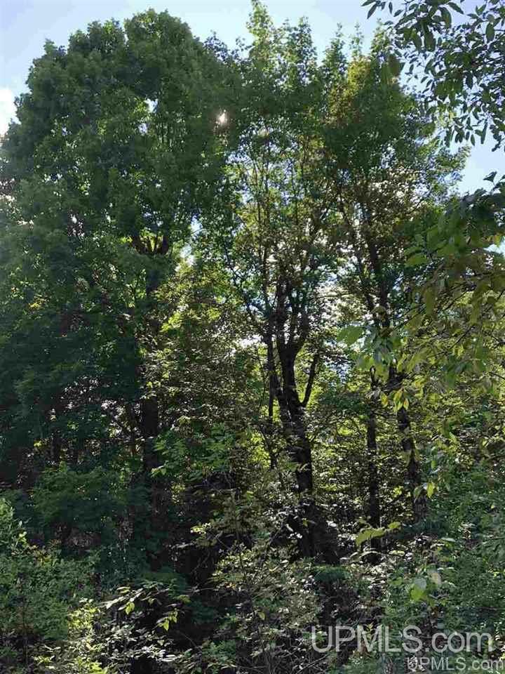 Tbd West Tower Road Ishpeming, MI 49849 - Photo 20 of 44