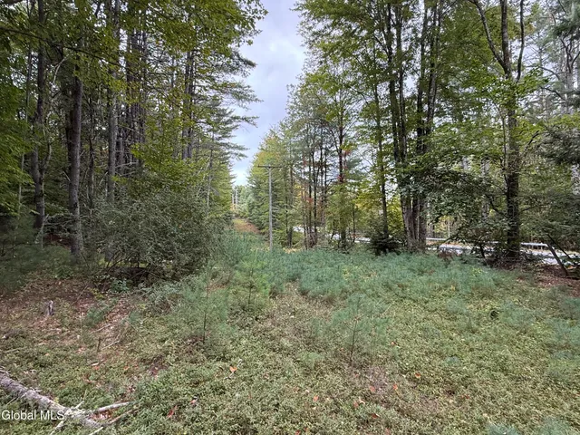 $147,000 | L33 Sawmill Road, Bolton Landing, NY 12814