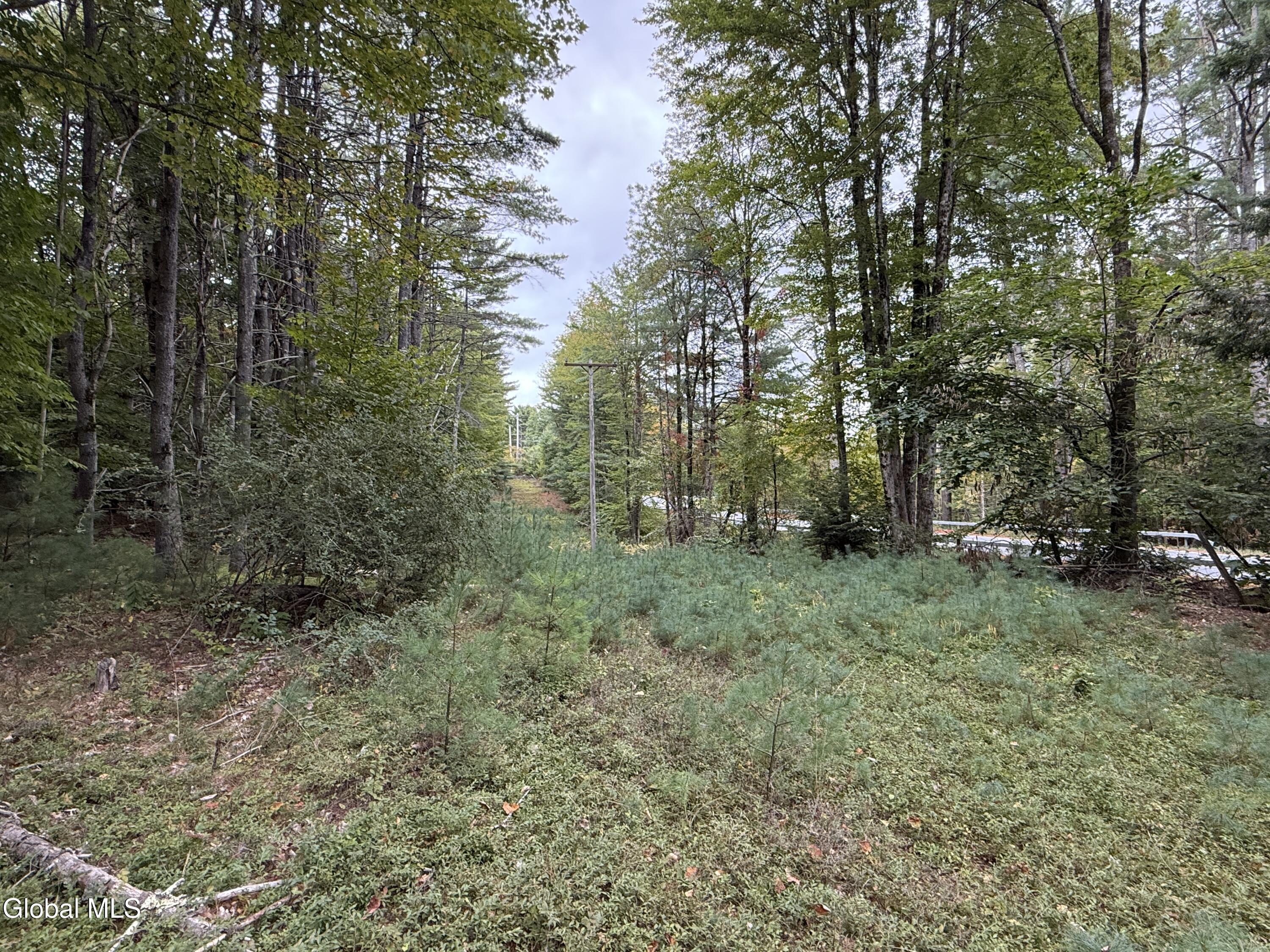 L33 Sawmill Road Bolton Landing, NY 12814 - Photo 1 of 4 Photo Sep 19 2025, 9 07 11 AM