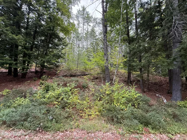 $147,000 | L33 Sawmill Road, Bolton Landing, NY 12814