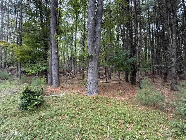 $147,000 | L33 Sawmill Road, Bolton Landing, NY 12814