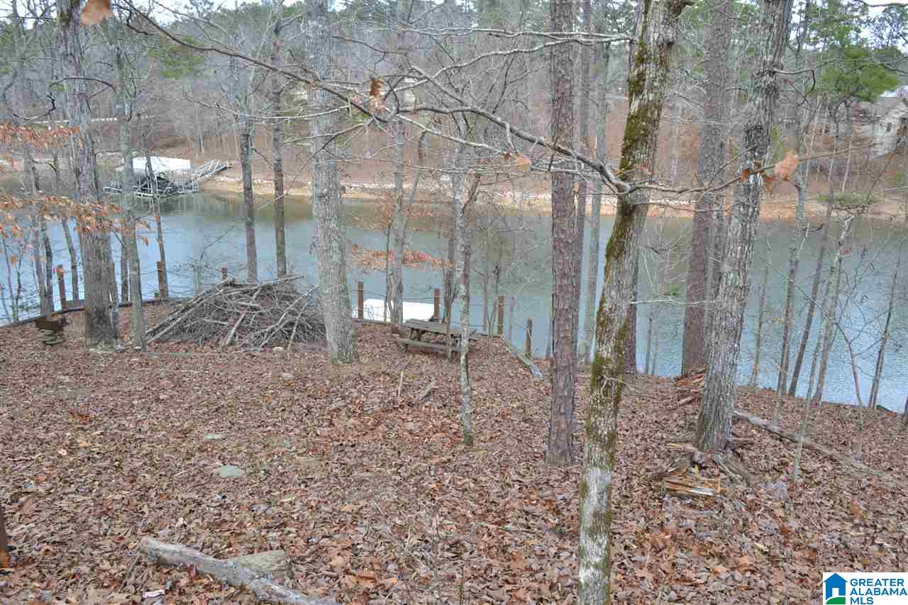 Turkey Lane, Unit 53 Wedowee, AL 36278 - Photo 6 of 10
