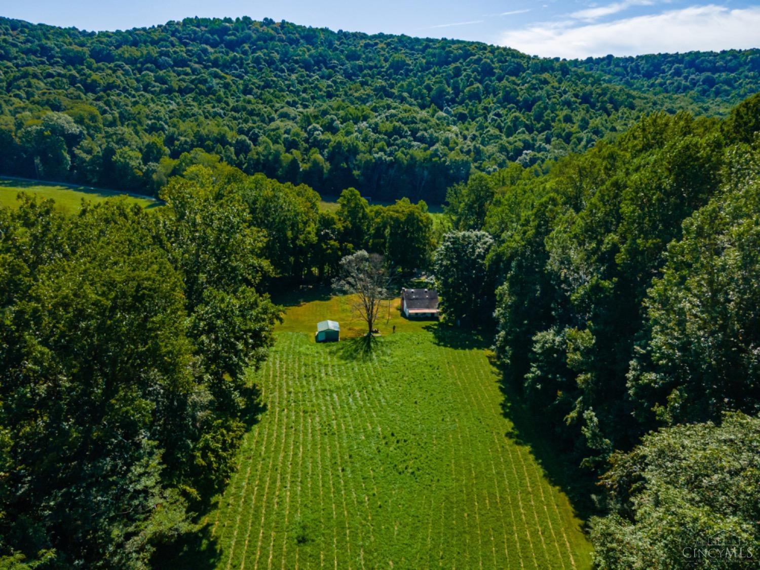 2299 Long Lick Road Stout, OH 45684 - Photo 2 of 59 Gallery Image 2
