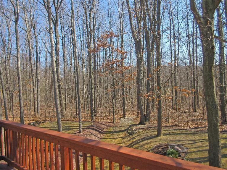 7558 Timber Ridge Court Dexter, MI 48130 - Photo 3 of 50 Photo 3