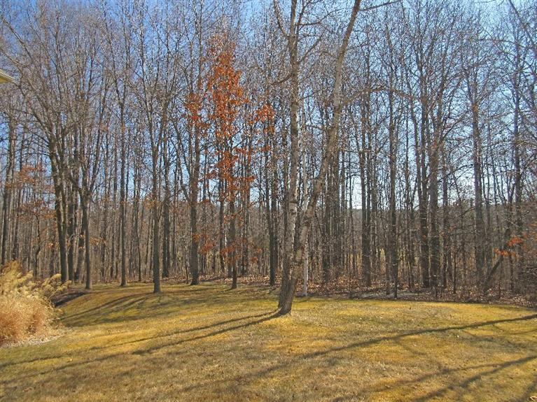 7558 Timber Ridge Court Dexter, MI 48130 - Photo 48 of 50 Photo 48
