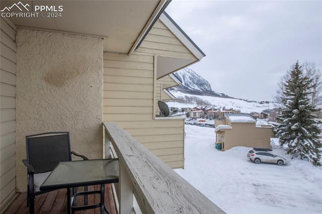 710 Gothic Road, Unit 1 Crested Butte, CO 81225 - Photo 22 of 25 Snow covered back of property featuring a mountain view