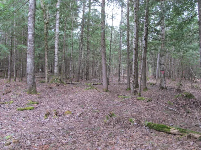 $47,900 | 52 Bradbury Ridge Road, Dixfield, ME 04224