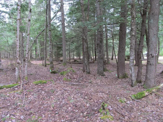 $47,900 | 52 Bradbury Ridge Road, Dixfield, ME 04224