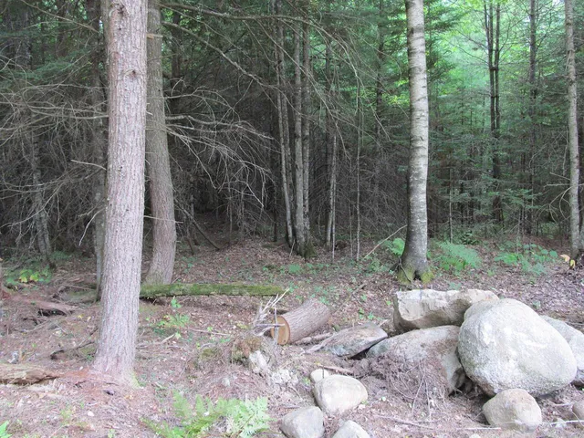 $47,900 | 52 Bradbury Ridge Road, Dixfield, ME 04224