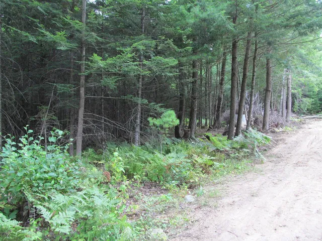 $47,900 | 52 Bradbury Ridge Road, Dixfield, ME 04224