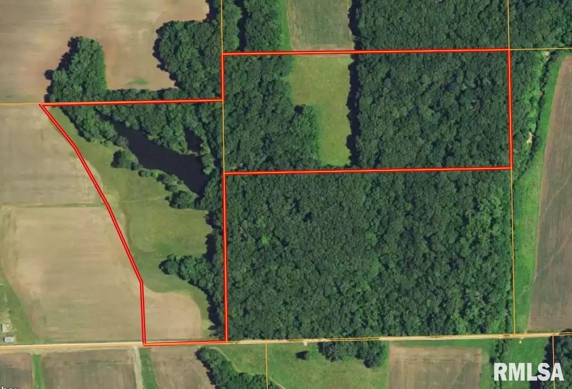 0 North Yale County Road Greenup, IL 62428 - Photo 12 of 43 a view of a small yard