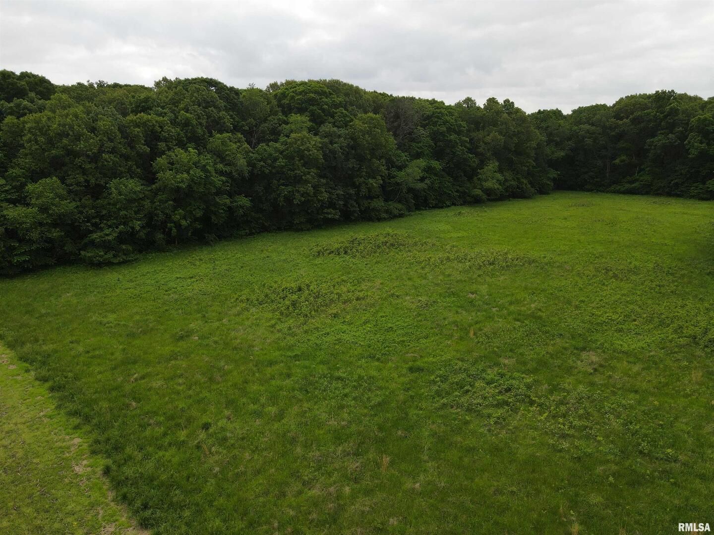 0 North Yale County Road Greenup, IL 62428 - Photo 13 of 43 a view of an outdoor space and a yard