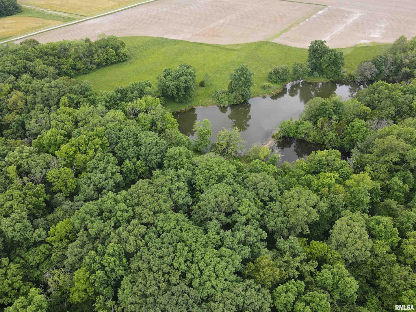 0 North Yale County Road Greenup, IL 62428 - Photo 5 of 43 a view of a green yard with large trees