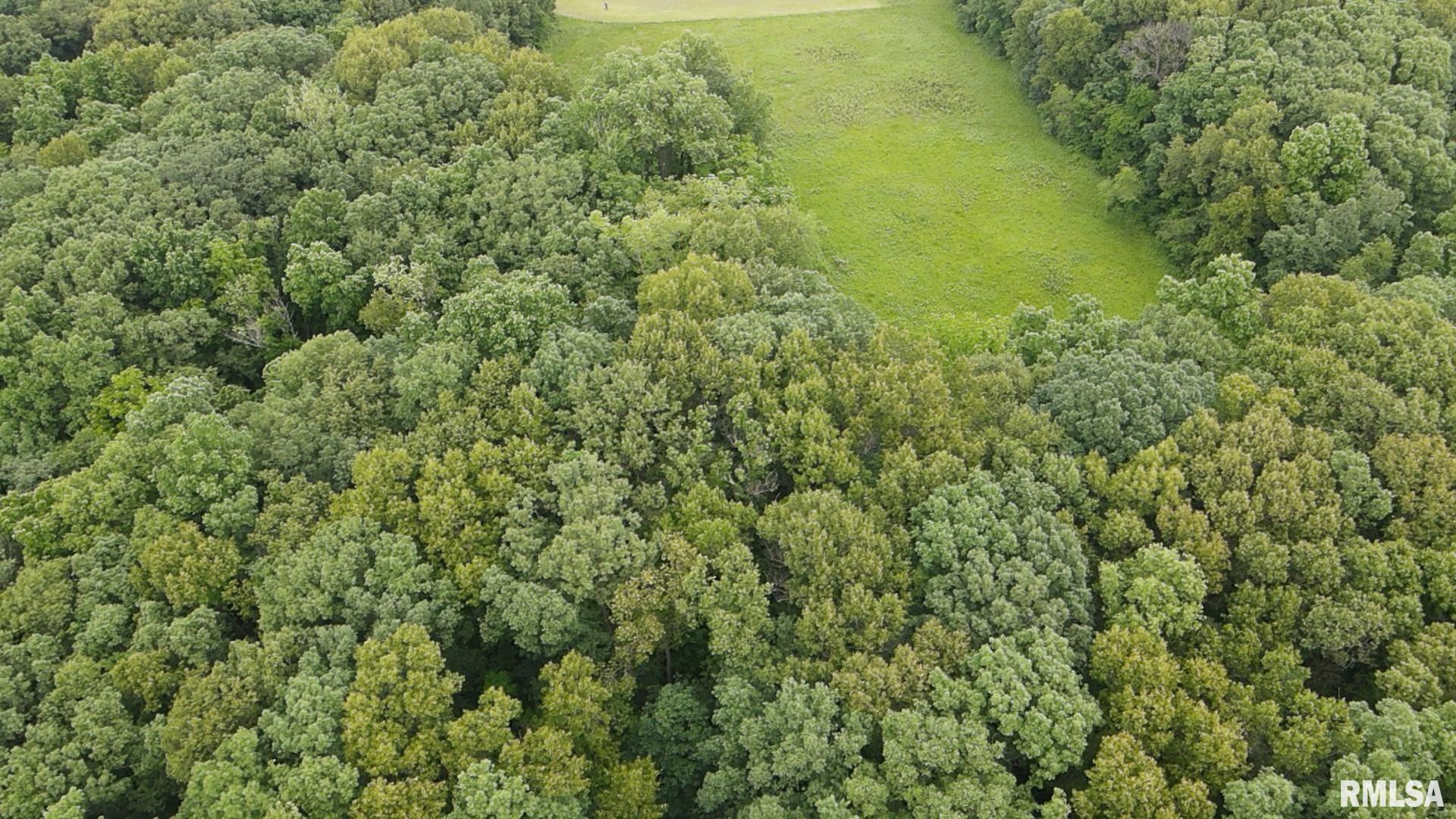 0 North Yale County Road Greenup, IL 62428 - Photo 10 of 43 a view of a field of grass and trees