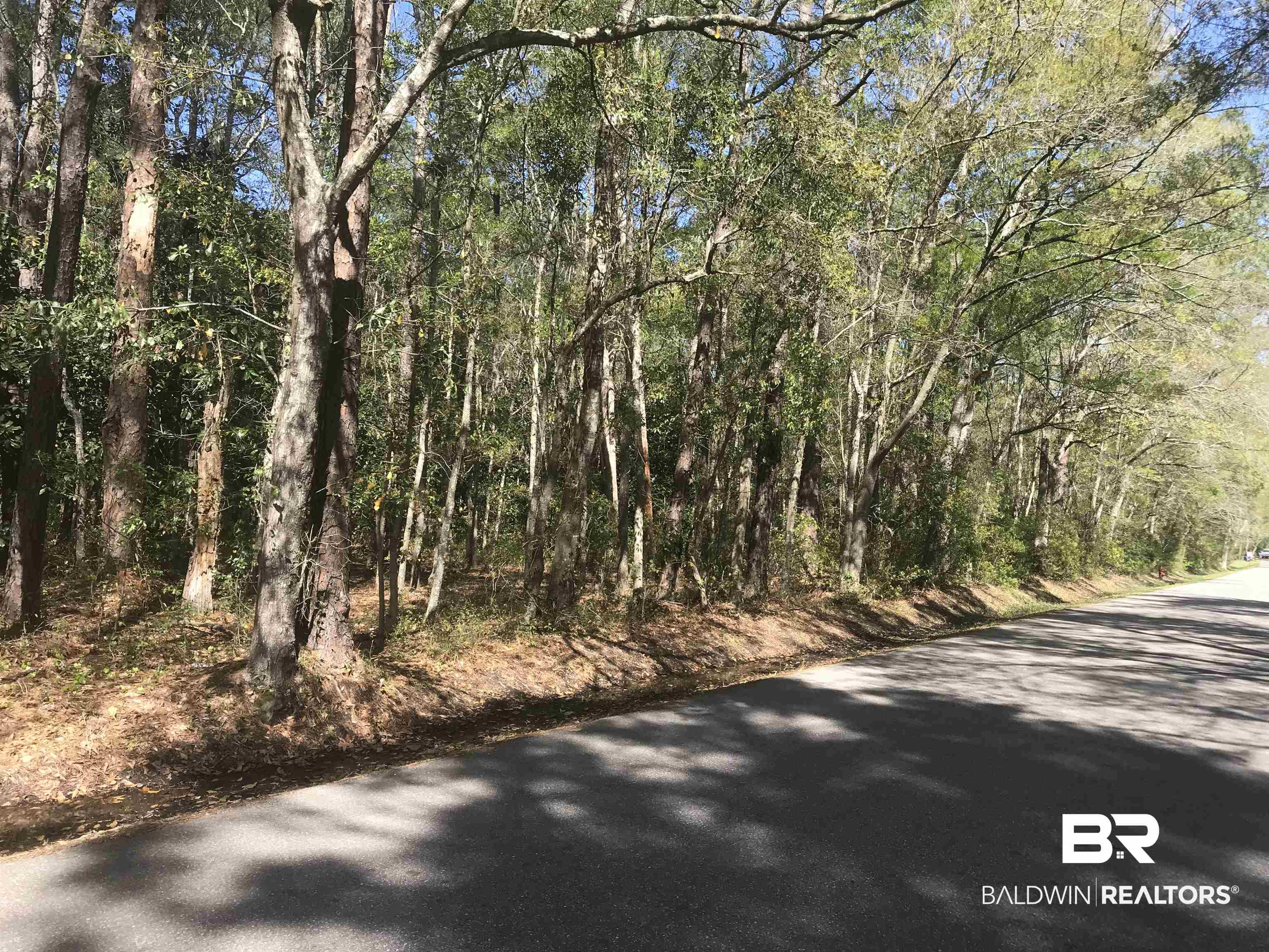 0 East Rabby Street Bayou La Batre, AL 36509 - Photo 2 of 5