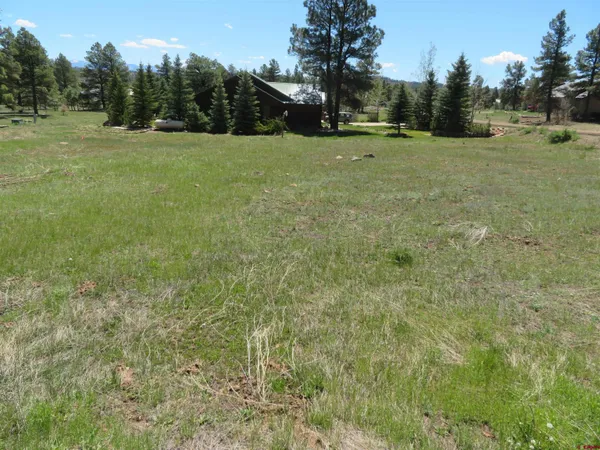 $47,500 | 980 Trails Boulevard, Pagosa Springs, CO 81147