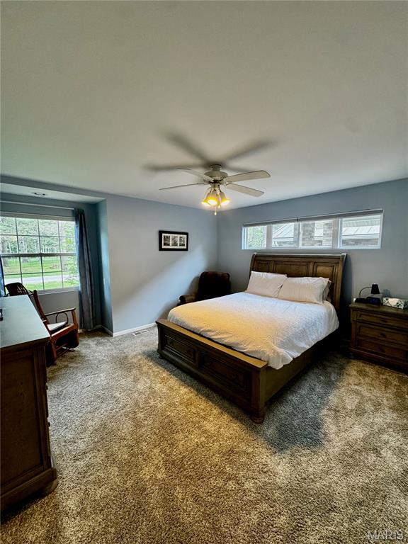 1330 Deer Creek Road Greenville, IL 62246 - Photo 27 of 55