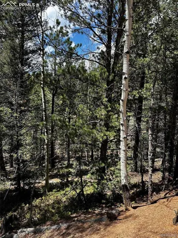 $19,900 | 703 Horseshoe Drive, Divide, CO 80814