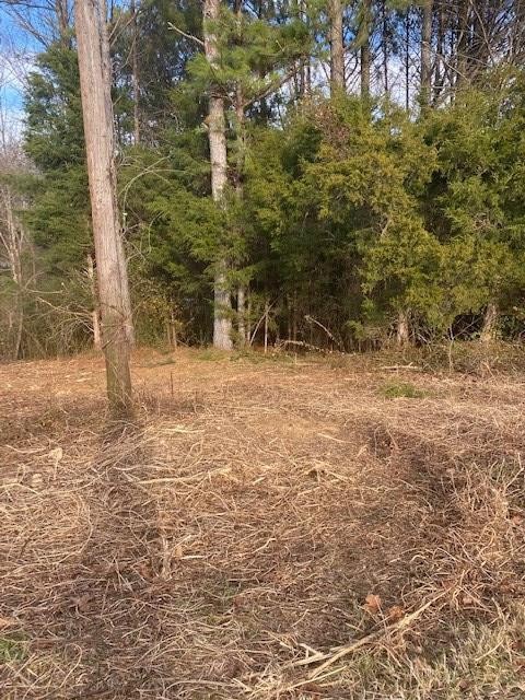 0 Chatata Valley Road Northeast Charleston, TN 37310 - Photo 1 of 6 Gallery Image 1
