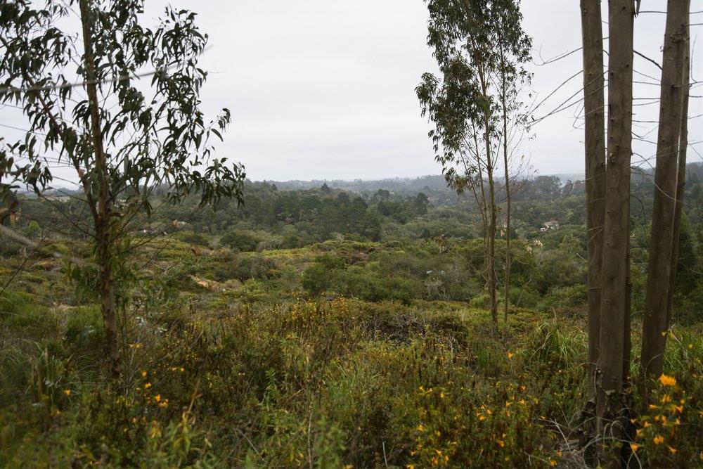 0 Valle Pacifico Road Salinas, CA 93907 - Photo 18 of 45