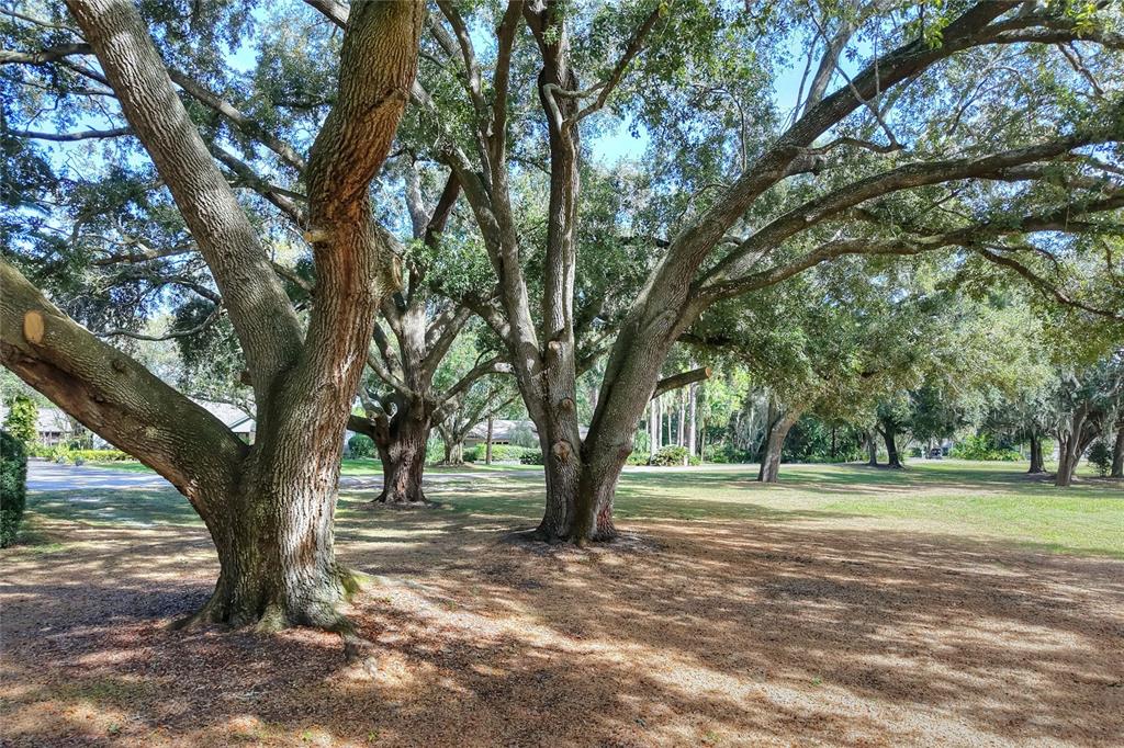 Island Way Winter Haven, FL 33884 - Photo 11 of 31