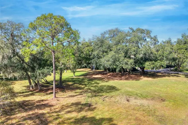 a view of a yard with swimming pool of the house