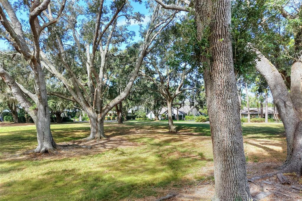 Island Way Winter Haven, FL 33884 - Photo 13 of 31