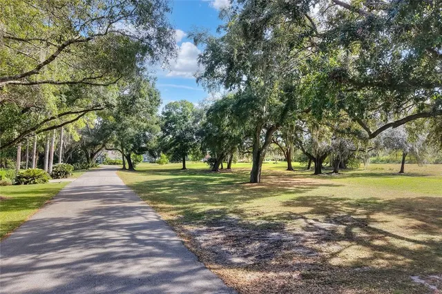a view of a park with large trees